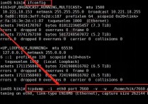 linux下一分钟掌握网络抓包（tcpdump）